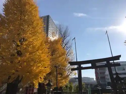 女躰大神の鳥居