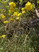 厳島神社(神奈川県)