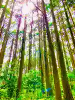 天白稲荷大明神(茨城県)