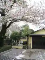 真光寺(千葉県)