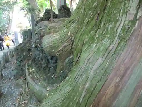 高尾山薬王院(東京都)