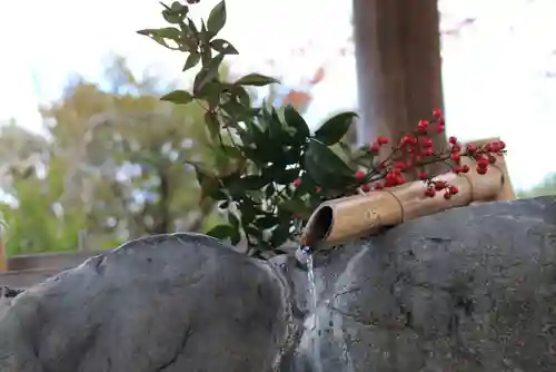 開成山大神宮の手水舎