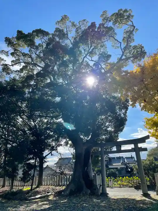 春日神社(福岡県)