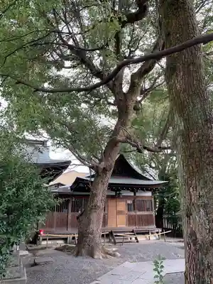 熊野神社(京都府)