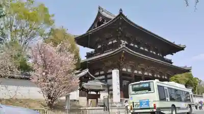 仁和寺の山門・神門