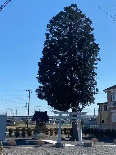 八幡神社の景色