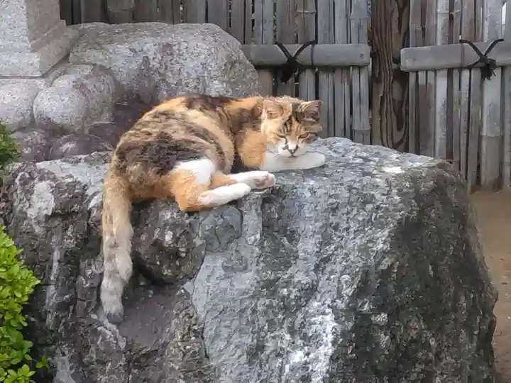 大久保山 自性院(神奈川県)