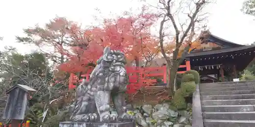 建勲神社の狛犬