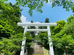 土津神社｜こどもと出世の神さまの鳥居