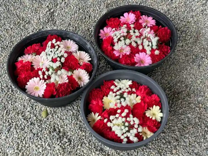 武蔵一宮氷川神社(埼玉県)