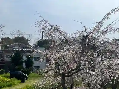 道成寺　奥の院観音堂の{uncategorized: "未分類", other: "その他", undefined: "問題あり", building: "その他建物", grave: "お墓", sacred_gate: "鳥居", guardian: "狛犬", statue: "像", buddha: "仏像", history: "歴史", nature: "自然", garden: "庭園", animal: "動物", pagoda: "塔", temizu: "手水舎", mountain_gate: "山門・神門", sanctuary: "本殿・本堂", subordinate: "末社・摂社", art: "芸術", scenery: "景色", jizo: "地蔵", ema: "絵馬", goshuin: "御朱印", omikuji: "おみくじ", items: "授与品その他", amulet: "お守り", goshuincho: "御朱印帳", eats: "食事", festival: "お祭り", votive_dance: "神楽", shichigosan: "七五三参", wedding: "結婚式", experience: "体験その他", initially: "初詣", around: "周辺", anti_infection: "感染症対策"}