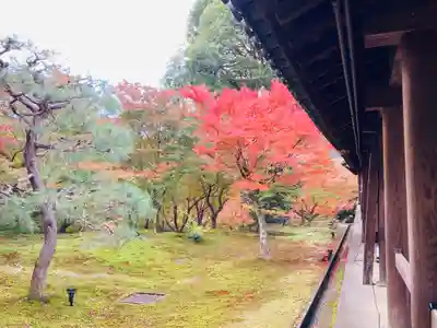 東福禅寺(東福寺)(京都府)