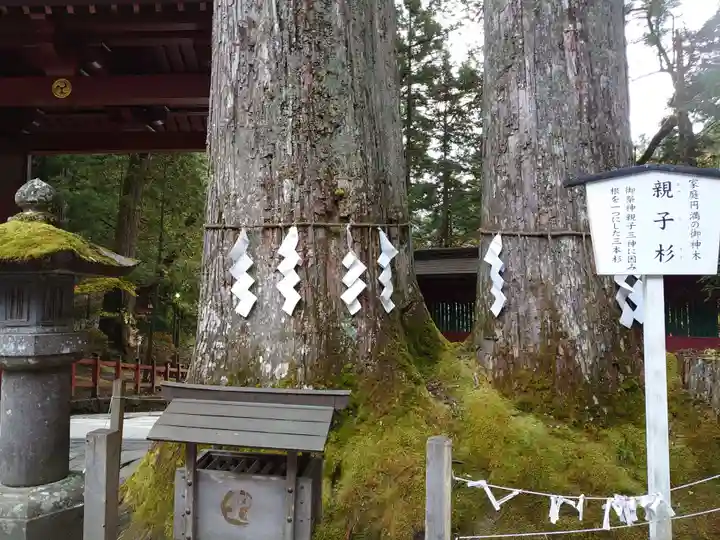 日光二荒山神社の自然