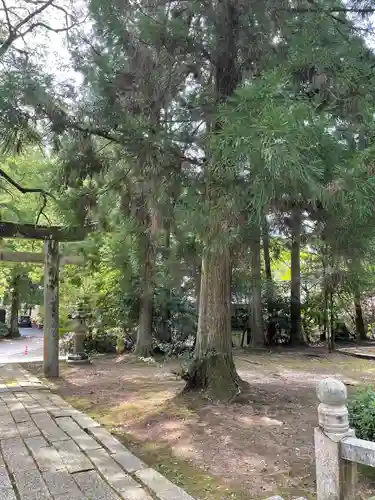 豊栄神社(山口県)