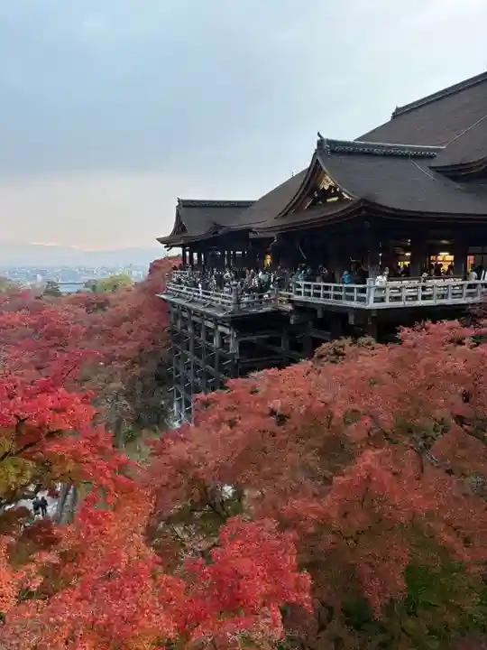 清水寺(京都府)