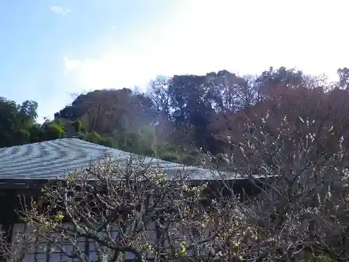 瑞泉寺のその他建物