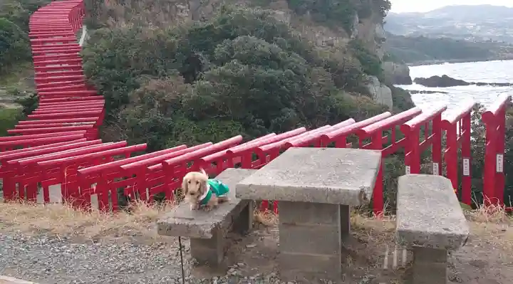 元乃隅神社の{uncategorized: "未分類", other: "その他", undefined: "問題あり", building: "その他建物", grave: "お墓", sacred_gate: "鳥居", guardian: "狛犬", statue: "像", buddha: "仏像", history: "歴史", nature: "自然", garden: "庭園", animal: "動物", pagoda: "塔", temizu: "手水舎", mountain_gate: "山門・神門", sanctuary: "本殿・本堂", subordinate: "末社・摂社", art: "芸術", scenery: "景色", jizo: "地蔵", ema: "絵馬", goshuin: "御朱印", omikuji: "おみくじ", items: "授与品その他", amulet: "お守り", goshuincho: "御朱印帳", eats: "食事", festival: "お祭り", votive_dance: "神楽", shichigosan: "七五三参", wedding: "結婚式", experience: "体験その他", initially: "初詣", around: "周辺", anti_infection: "感染症対策"}