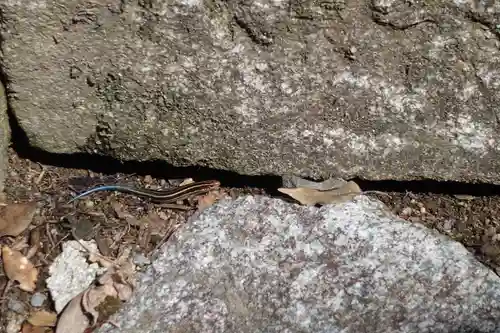 崇道神社のその他建物