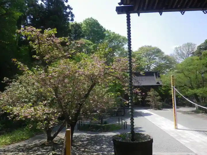 妙本寺の本殿・本堂