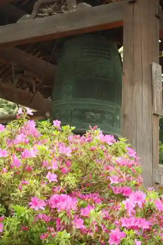 興聖寺（興聖寶林禅寺）(京都府)