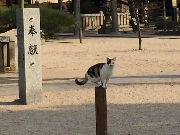 若松恵比須神社 (福岡県)