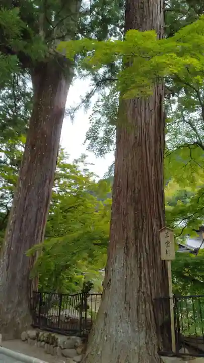 室生寺(奈良県)