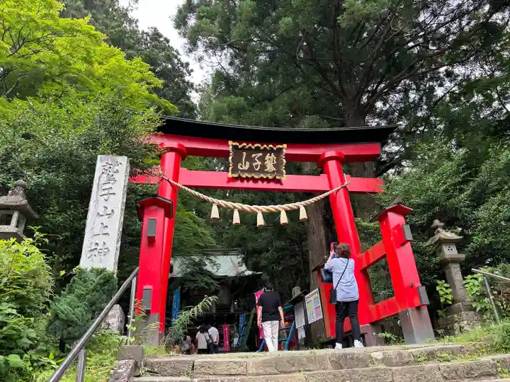 鷲子山上神社(栃木県)