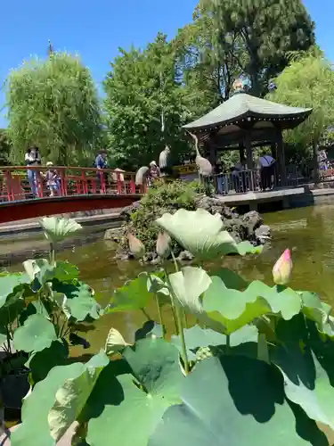 川崎大師（平間寺）(神奈川県)