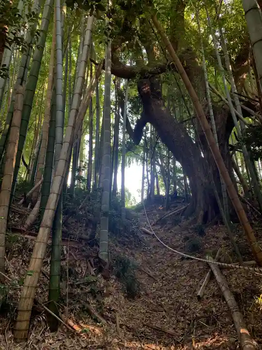 浅間社(千葉県)