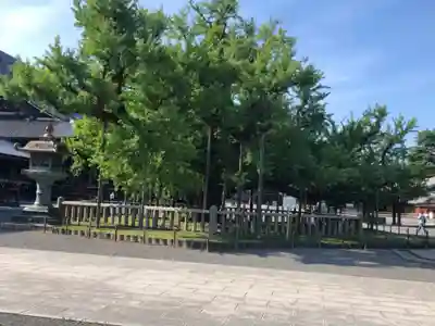 本願寺（西本願寺）(京都府)