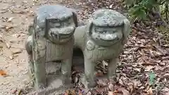 荒神社(徳島県)