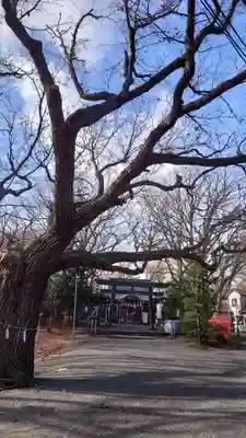 相馬神社(北海道)