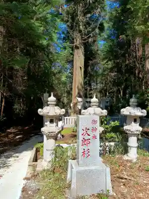 大杉神社の{uncategorized: "未分類", other: "その他", undefined: "問題あり", building: "その他建物", grave: "お墓", sacred_gate: "鳥居", guardian: "狛犬", statue: "像", buddha: "仏像", history: "歴史", nature: "自然", garden: "庭園", animal: "動物", pagoda: "塔", temizu: "手水舎", mountain_gate: "山門・神門", sanctuary: "本殿・本堂", subordinate: "末社・摂社", art: "芸術", scenery: "景色", jizo: "地蔵", ema: "絵馬", goshuin: "御朱印", omikuji: "おみくじ", items: "授与品その他", amulet: "お守り", goshuincho: "御朱印帳", eats: "食事", festival: "お祭り", votive_dance: "神楽", shichigosan: "七五三参", wedding: "結婚式", experience: "体験その他", initially: "初詣", around: "周辺", anti_infection: "感染症対策"}