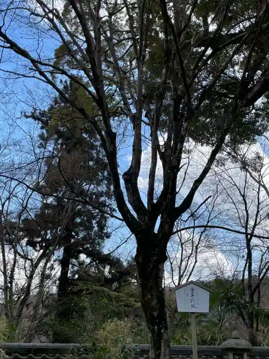 十輪寺(京都府)