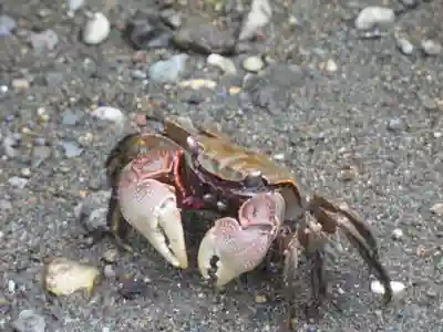 了仙寺(静岡県)