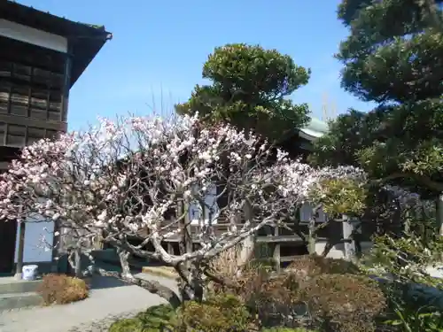 極楽寺（霊鷲山感應院極楽律寺）の庭園