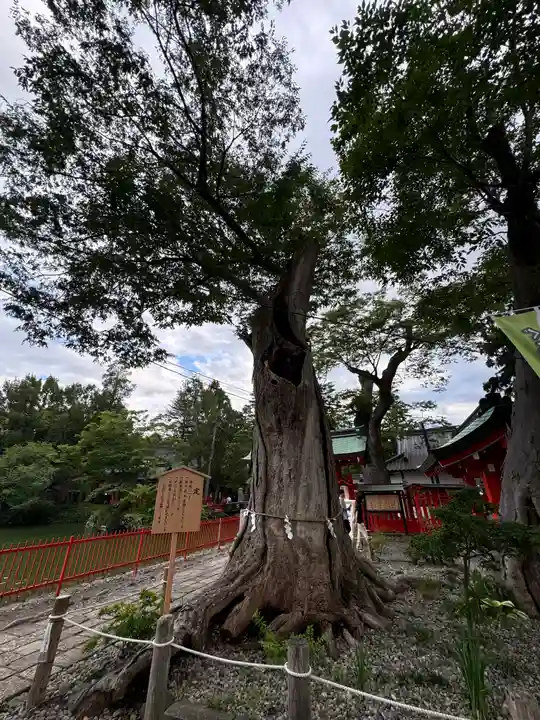 生島足島神社(長野県)