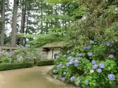 高野山金剛峯寺(和歌山県)