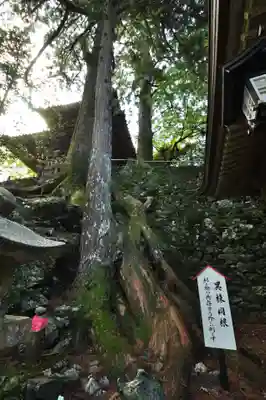 太龍寺(徳島県)