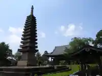 般若寺 ❁コスモス寺❁(奈良県)