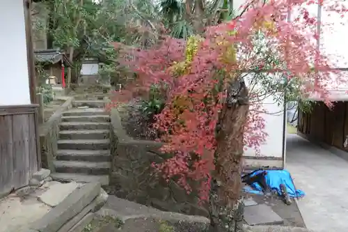 美具久留御魂神社の庭園