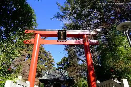 白笹稲荷神社の鳥居