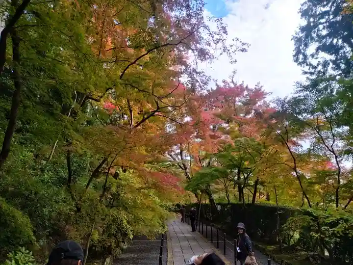 光明寺(粟生光明寺)(京都府)