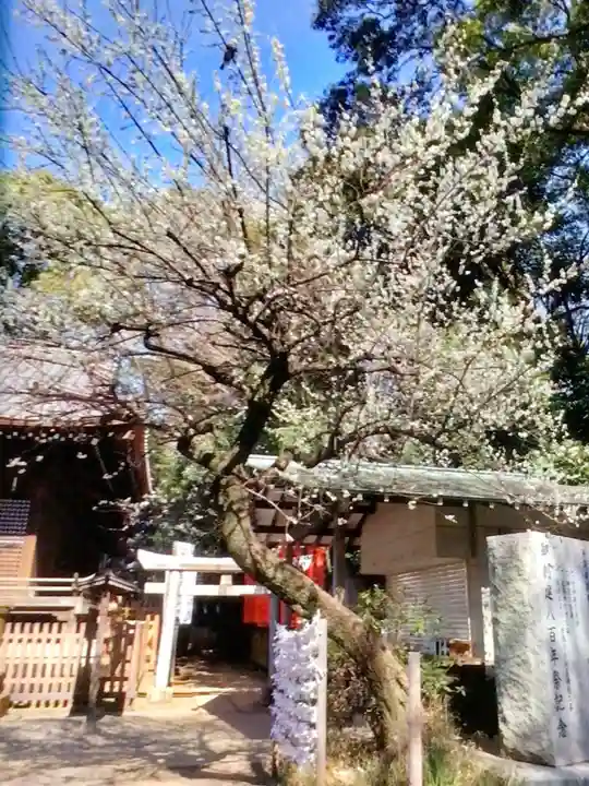 代々木八幡宮(東京都)