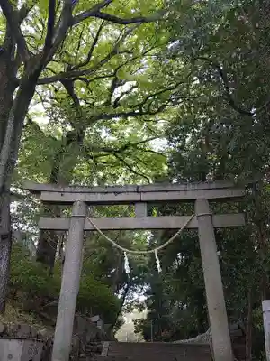 阿智神社の鳥居