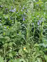 白狐山光星寺(山形県)