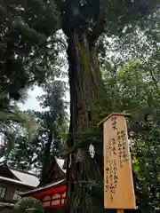 香取神宮(千葉県)