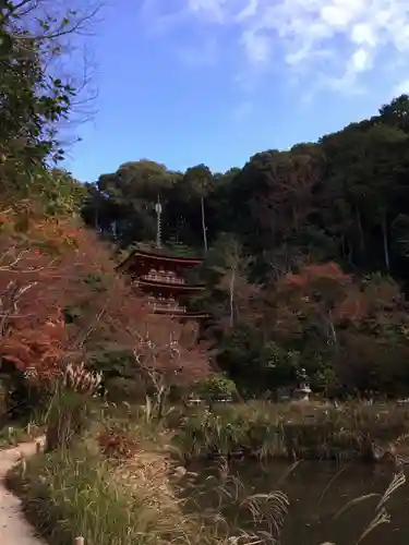 浄瑠璃寺の景色