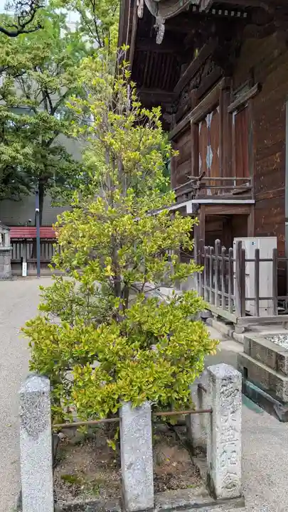 警固神社の自然