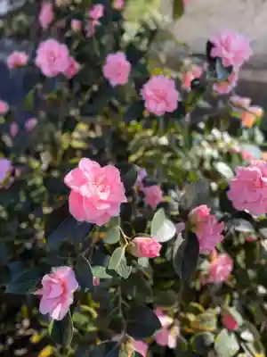 崇道天皇社(奈良県)